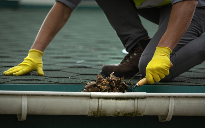 Gutter Cleaning Specialist