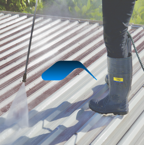 Roof Cleaning